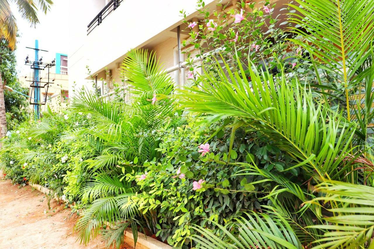 Mapletree Inn Bangalore Exterior photo